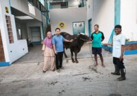 Yayasan Mawar Bina Insani Kolaborasi Bersama SPPG Kebonturi Geliatkan Qurban Idul Adha